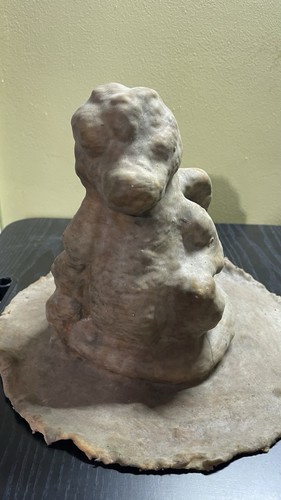 Dragon latex mould - latex, for