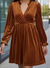 Velvet reformation mini dress