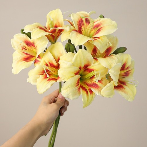 Artificial silk clivia orchid - clivia,