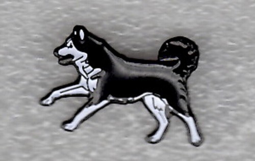 Husky pin badge running - badge.,