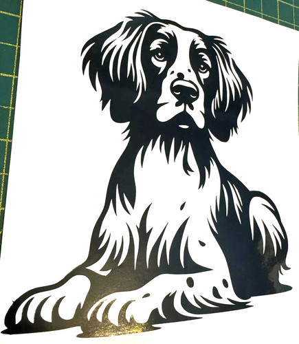 English spaniel cocker - spaniel,