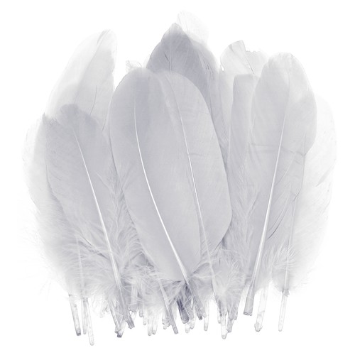 100 pcs feathers - 100, long