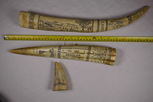 Scrimshaw style whale tooth - style,