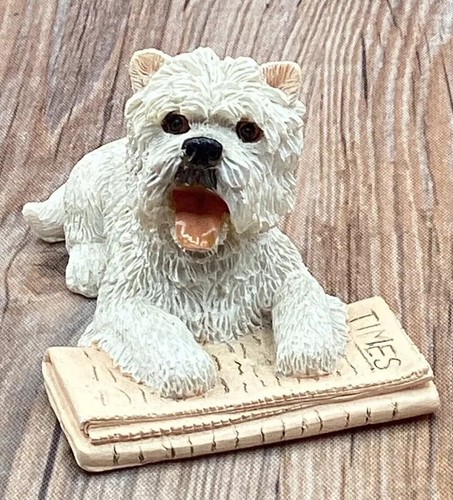 Westie west highland terrier - highland,
