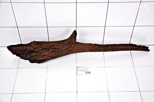 Aquarium natural wood - aquarium,