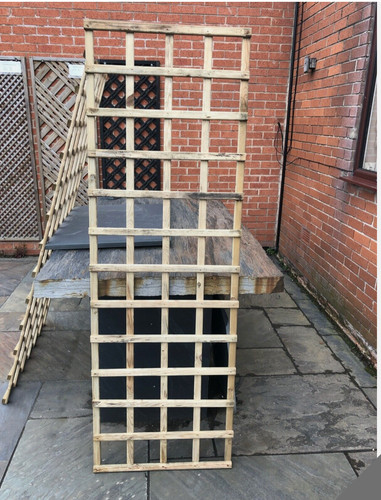 Basic square trellis screen - basic, /