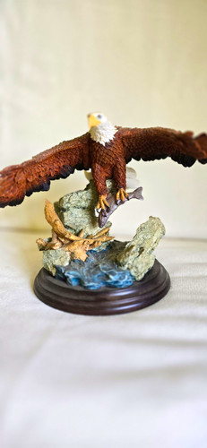 Country artists bald eagle - bald,
