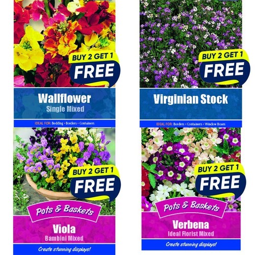Flower seeds plants borders - flower,
