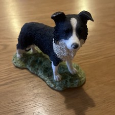 Border Fine Arts Border Collie