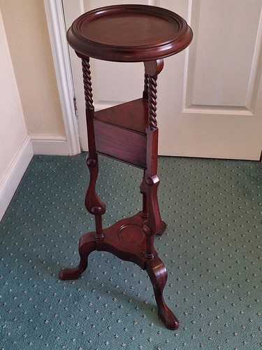 Victorian style mahogany - , plant