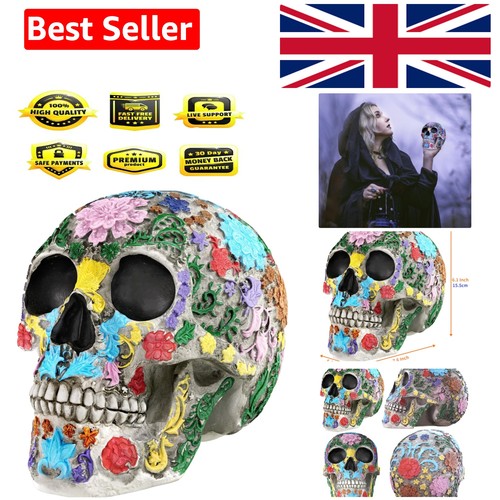 Life size human skull model - size,