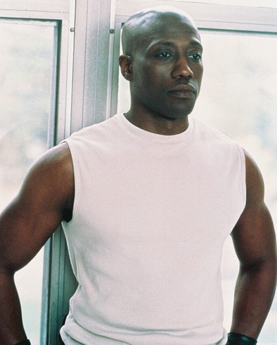 76642 wesley snipes - wesley, hunky