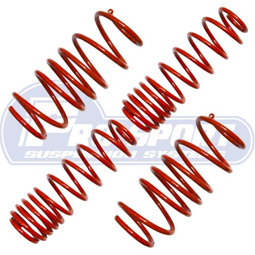Pro sport lowering springs - sport,