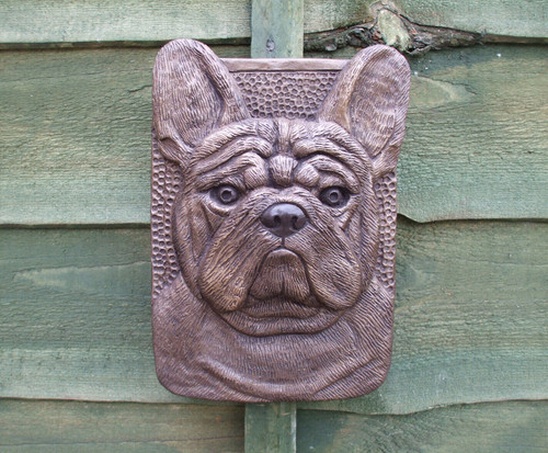 Stone bronzed french - french, bulldog