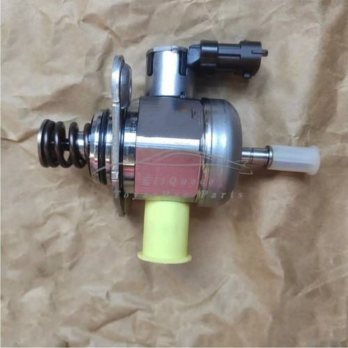 High pressure fuel pump for - fuel,