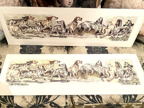 English setter pointer gun - english,