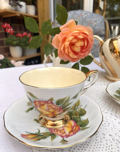 Paragon peace rose fine bone - paragon,