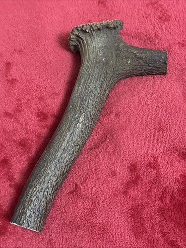 One piece red - one, deer