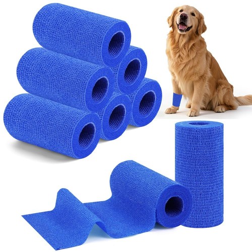 Rolls cohesive bandage - cohesive, bandage,