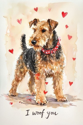 Large luxury airedale - luxury,
