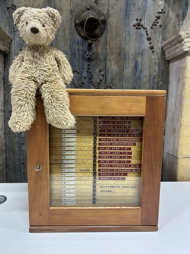 Antique museum microscope - museum,