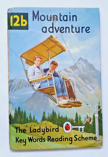 Choice ladybird key words - of,