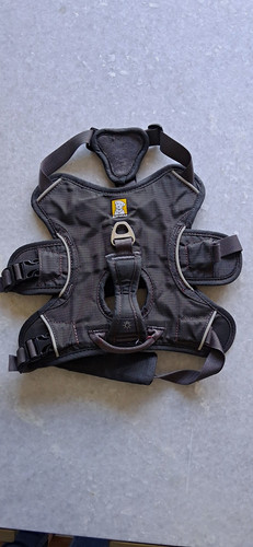 Ruffwear webmaster padded - ruffwear,