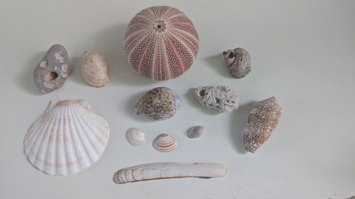 Beautiful collection rare - collection, of