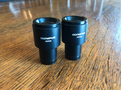 Pair olympus cwhk 10x 18l - pair,
