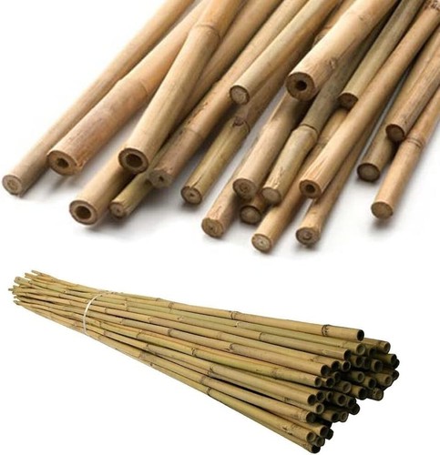 Heavy duty bamboo canes - bamboo,
