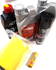 APACHE RLX  320 Auto Quad