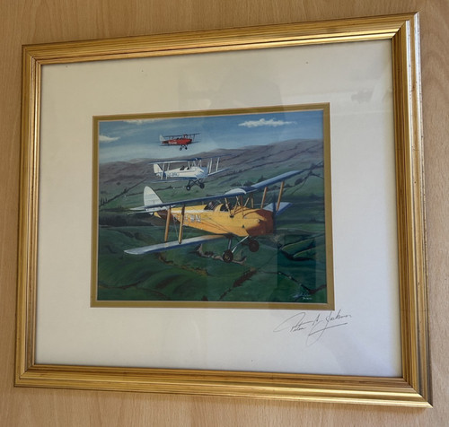 Original tiger moth bpaj - original, g-bpaj