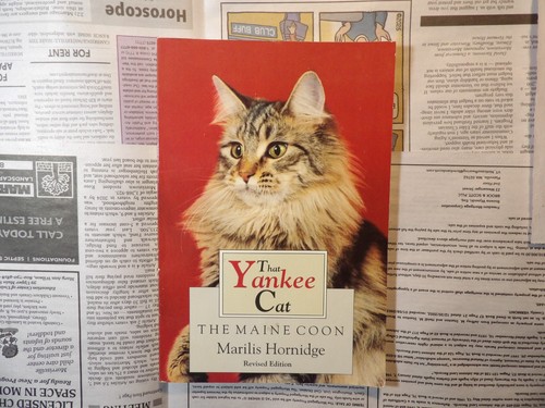 That yankee cat the maine - the,