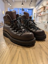 Danner Mountain Light II Brown