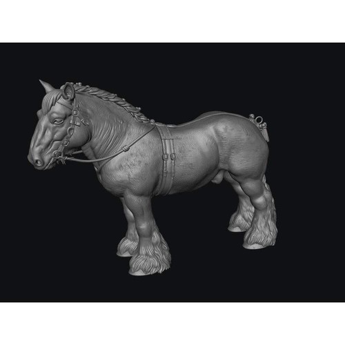 Smff004 shire horse in - c,