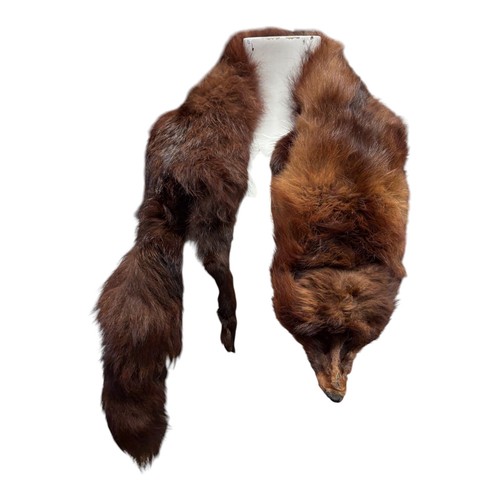 Vintage real fox - vintage,