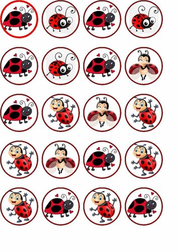 Lady bug edible - 24, rice