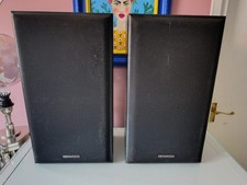 Large Black Pair Set Of 2