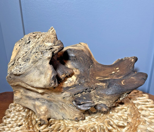 Natural driftwood sculpture - driftwood,