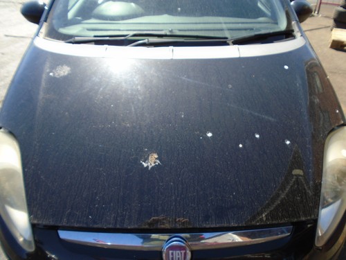 Fiat punto evo - punto,
