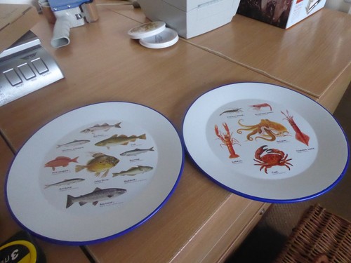 Brand new set enamel plates - brand,