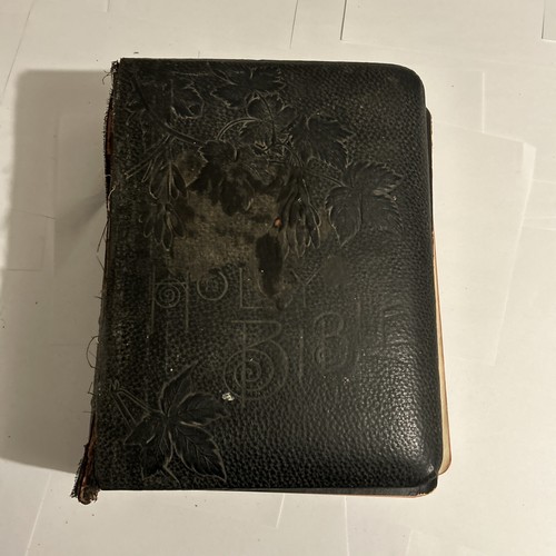 Holy bible holman - bible,