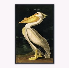 WHITE PELICAN VELVET CANVAS|