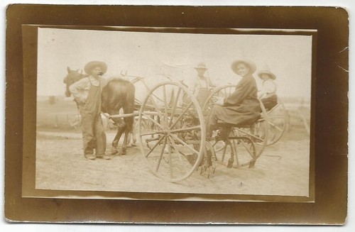 Horse drawn chisel - horse,