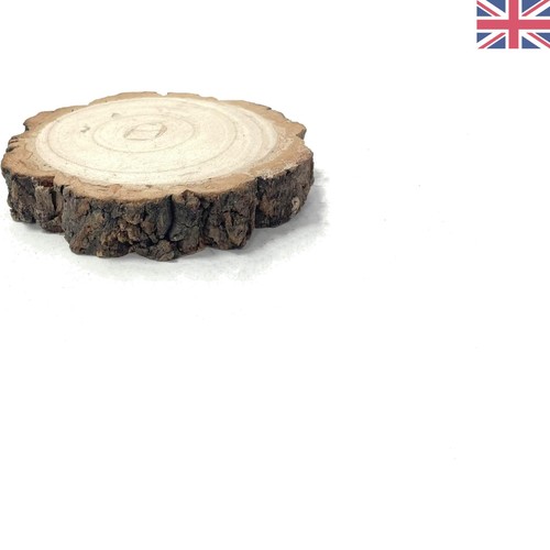 Elegant rustic wood log - elegant, slab