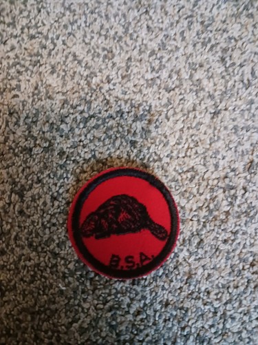 Boy scout bsa beaver 1933 - bsa, to