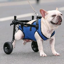 Adjustable Pet Wheelchair Hind