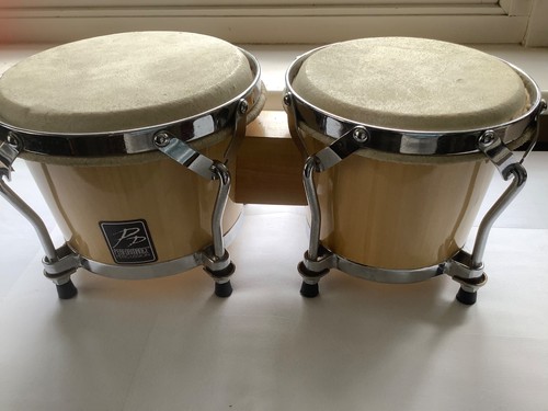 Bongo drums performance - bongo, drums,