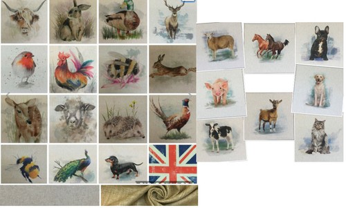 Chatham glyn animal - chatham,
