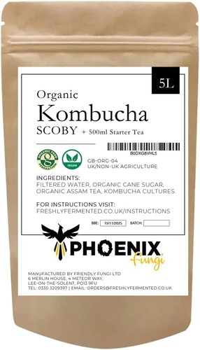 Phoenix fungi kombucha scoby - -,